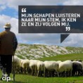 /album/fotogalerij-startpagina/a10382740-806041529414901-5442885102421781597-n-jpg1/